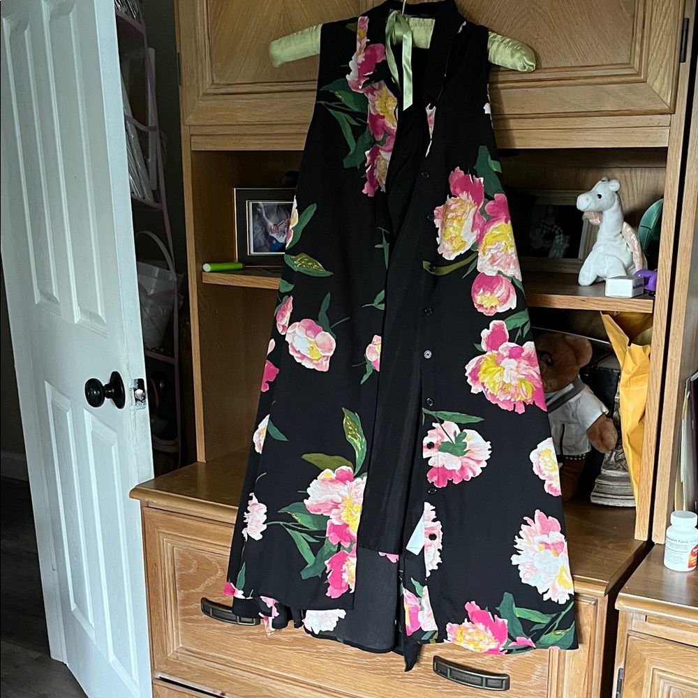 Adrianna Papell Black and Pink Dress